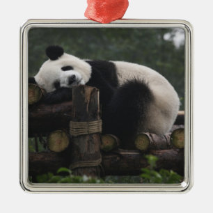 Giant pandas at the Giant Panda Protection Metal Tree Decoration