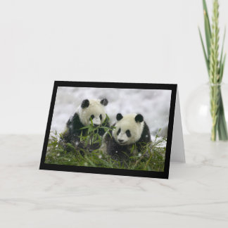 Giant Pandas Holiday Card