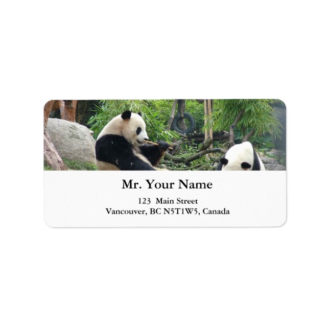Giant pandas label (Front)
