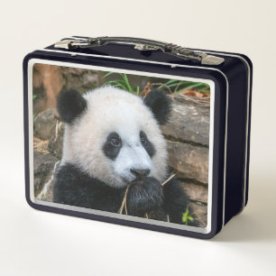 Giant Pandas Mei Xiang and Xiao Qi Ji Lunch Box