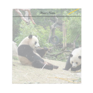Giant pandas notepad