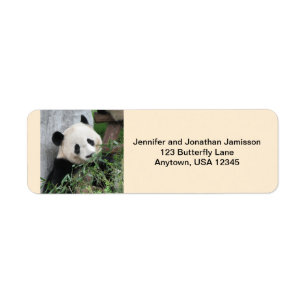 Giant Pandas Return Address Labels, Tan
