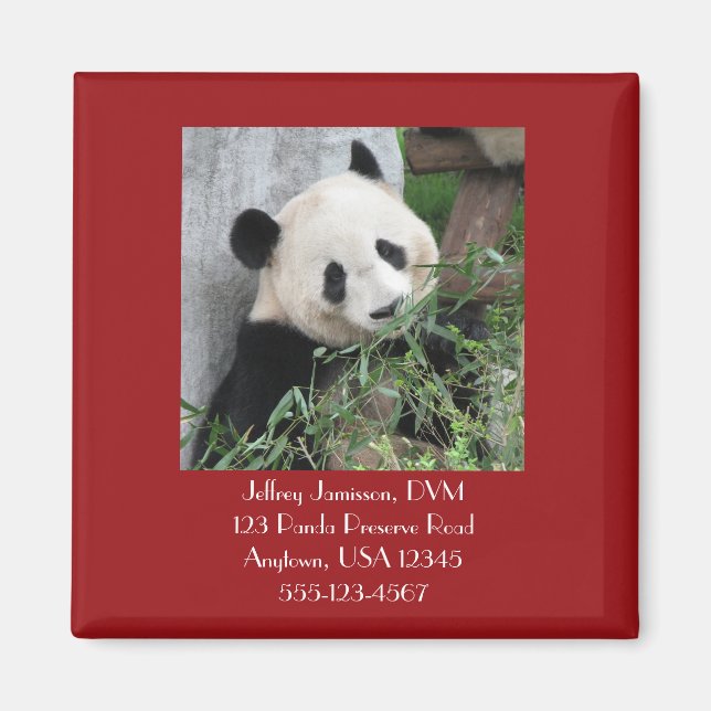 Giant Pandas Veterinarian Vet Promotional Giveaway Magnet (Front)