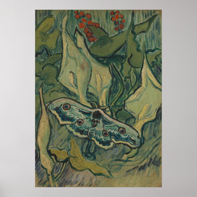 Giant Peacock Moth (1889) by Vincent van Gogh Poster (Front)