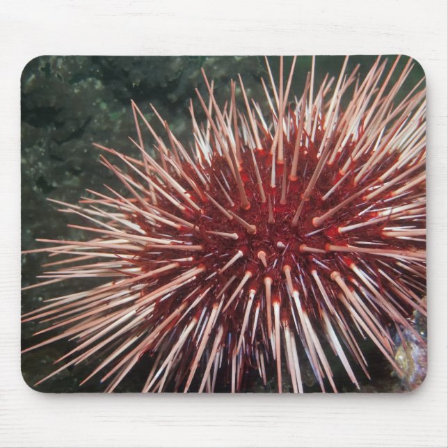Giant Red Sea Urchin -  Mousepad (Front)