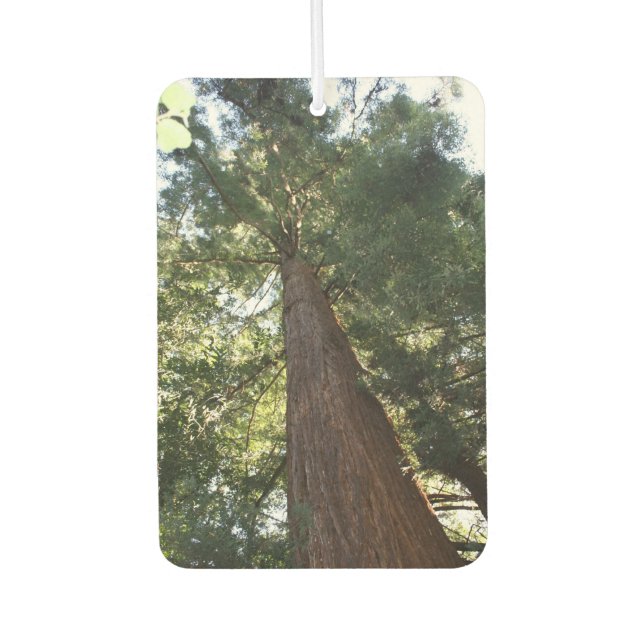 Giant Redwood Sequoia Treetop Muir Woods Forest Car Air Freshener (Front)