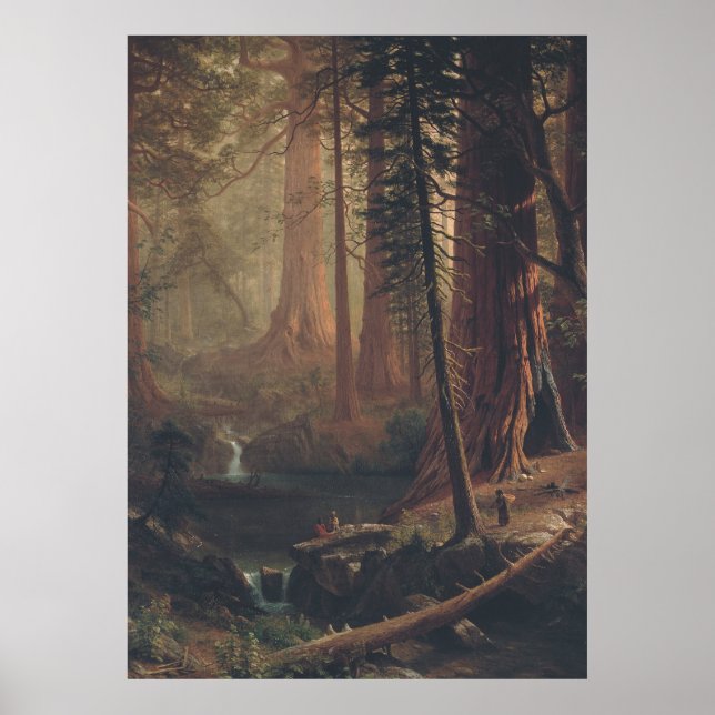 Giant Redwood Trees – 19th Century Wall Art (Front)