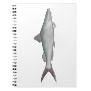 Giant River-catfish Notebook