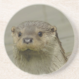 Giant River Otter Coaster