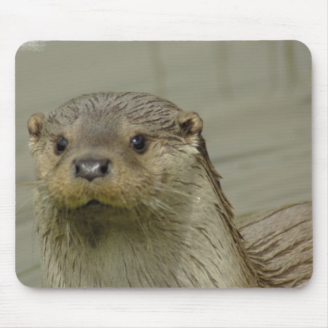 Giant River Otter Mouse Pad (Front)