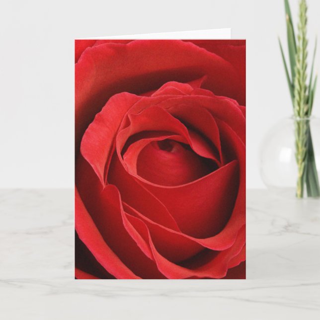 Giant Rose Romantic Valentine Holiday Card (Front)