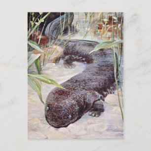 Giant Salamander Art Postcard