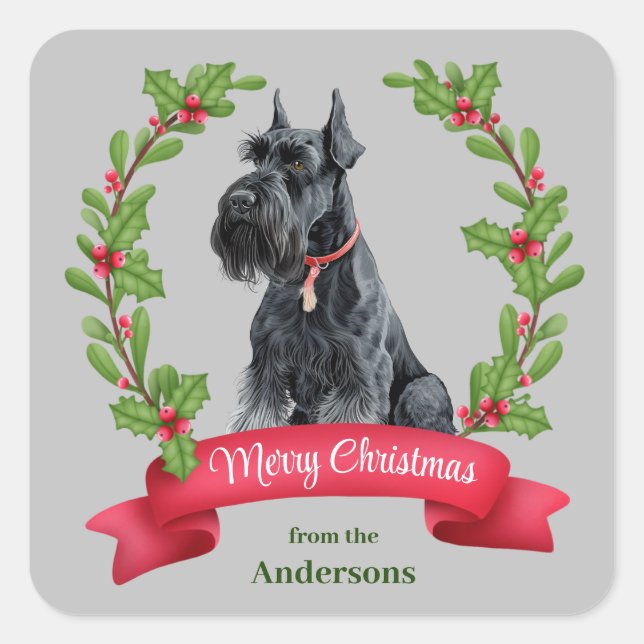 Giant Schnauzer Dog Holly Banner Christmas Square Sticker (Front)