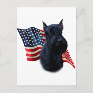 Giant Schnauzer Flag Postcard