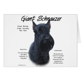 Giant Schnauzer History Design