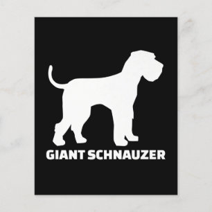 giant schnauzer premium