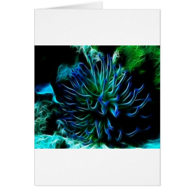 giant sea anemone (Front)