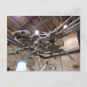 Archelon Gifts Gift Ideas Zazzle Uk