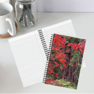 Giant Sequoia and Red Maple Leaves Notebook