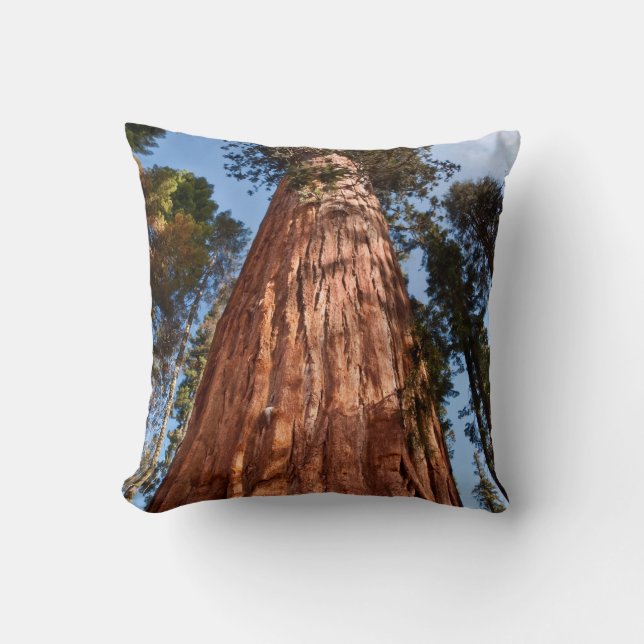 Giant Sequoia Ascends Cushion (Front)