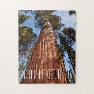 Giant Sequoia Ascends Jigsaw Puzzle