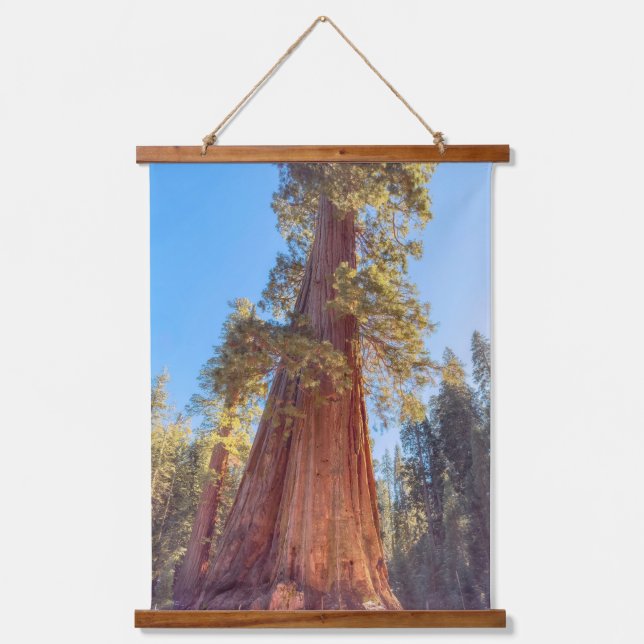 Giant Sequoia  Hanging Tapestry (Front)