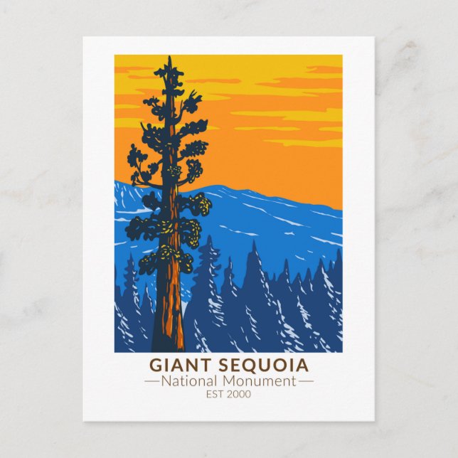 Giant Sequoia National Monument California Vintage Postcard (Front)