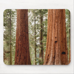 Giant Sequoia Panorama Mouse Mat