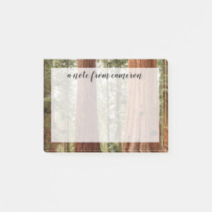 Giant Sequoia Panorama Post-it Notes