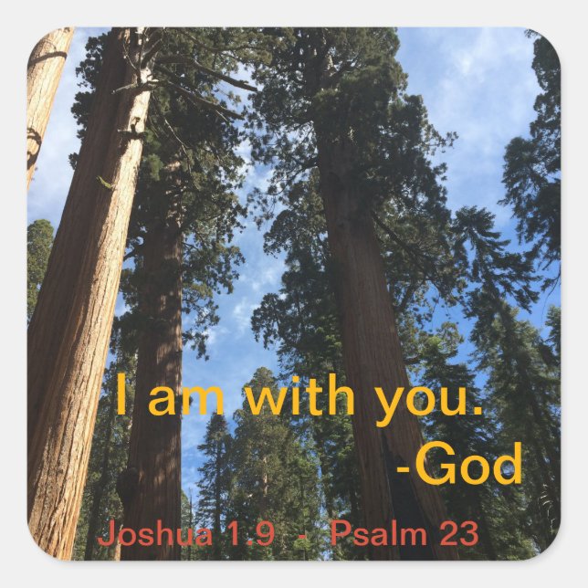 Giant Sequoia Sky View Square Sticker (Front)