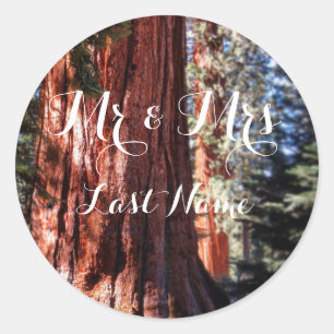 Giant Sequoia Stickers