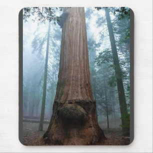Giant Sequoia Tree in Grant Grove, CA Mouse Mat