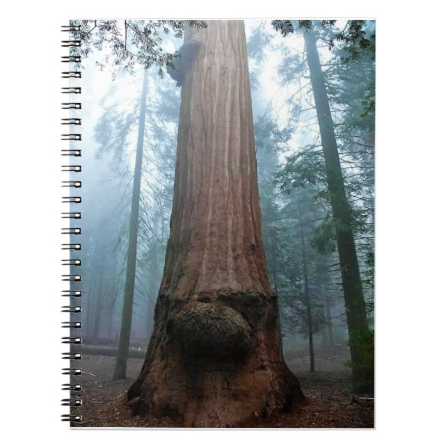 Giant Sequoia Tree in Grant Grove, CA Notebook (Front)