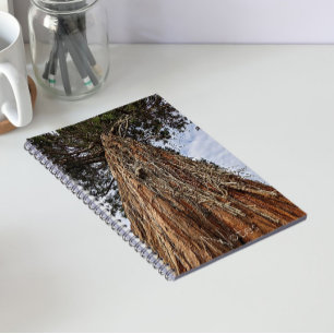 Giant Sequoia Tree Photo Notebook