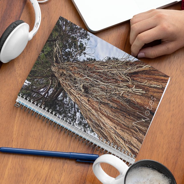 Giant Sequoia Tree Photo Notebook (In Situ)