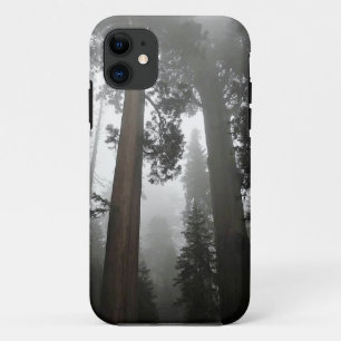 Giant Sequoia Trees in the Fog, CA iPhone 11 Case