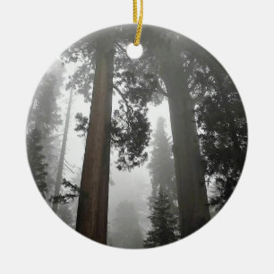 Giant Sequoia Trees in the Fog, CA Ceramic Tree Decoration
