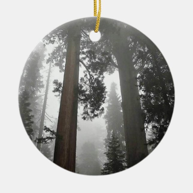 Giant Sequoia Trees in the Fog, CA Ceramic Tree Decoration (Front)