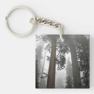 Giant Sequoia Trees in the Fog, CA Key Ring