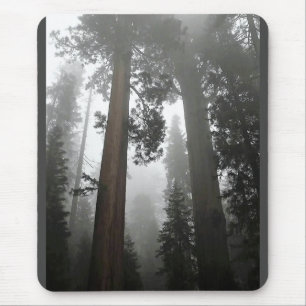 Giant Sequoia Trees in the Fog, CA Mouse Mat