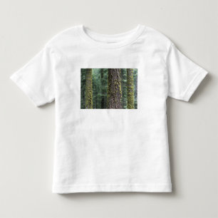 Giant Sequoia trees in the forest, Sequoia and Toddler T-Shirt