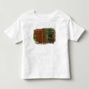 Giant Sequoia trunks in forest, Yosemite Toddler T-Shirt