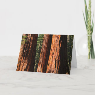 Giant Sequoias Card