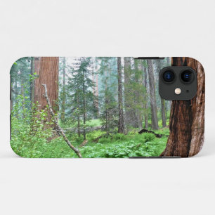 Giant Sequoias in Grant Grove, CA iPhone 11 Case