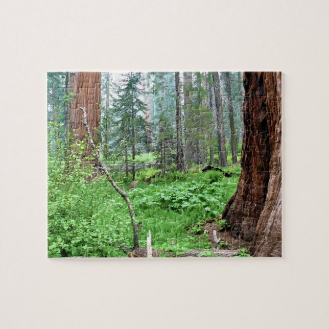 Giant Sequoias in Grant Grove, CA Jigsaw Puzzle (Horizontal)