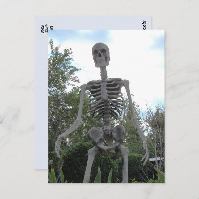 Giant Skeleton Halloween Postcard (Front/Back)