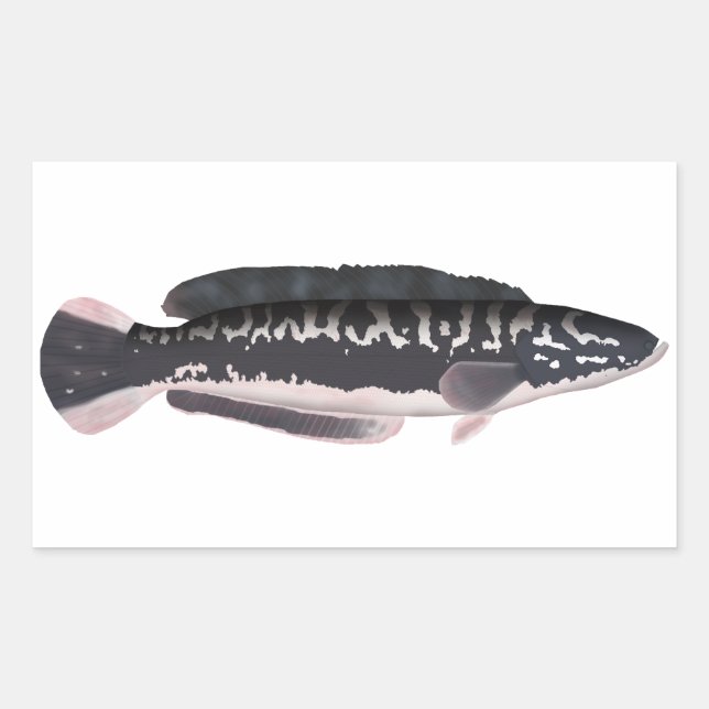 Giant Snakehead Rectangular Sticker (Front)