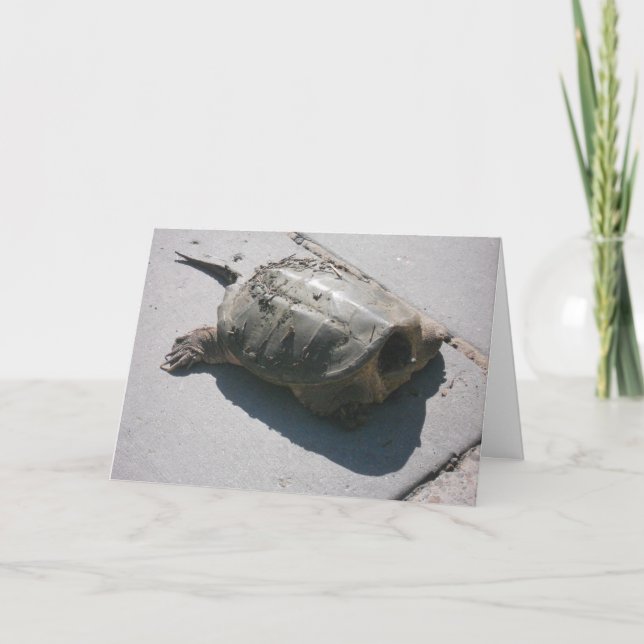 "Giant Snapping Turtle" Birthday Card (Front)