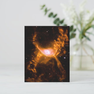 Giant Spider Nebula | Spider Lovers Gift