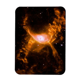 Giant Spider Nebula | Spider Lovers Gift Magnet
